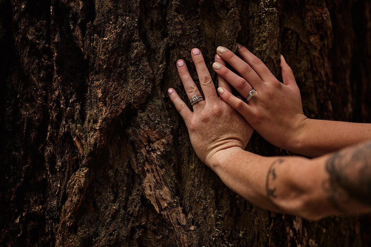 Two hands overlap one another as they press against the rough bark of a tree.