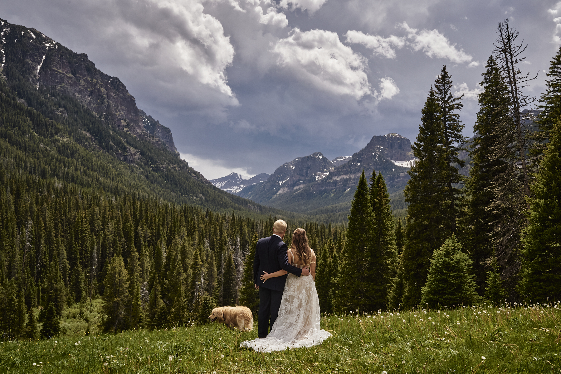 A bride and groom stand facing away from the camera atop a grassy knoll, looking out at a mountainous valley. Their dog is close by in the grass.